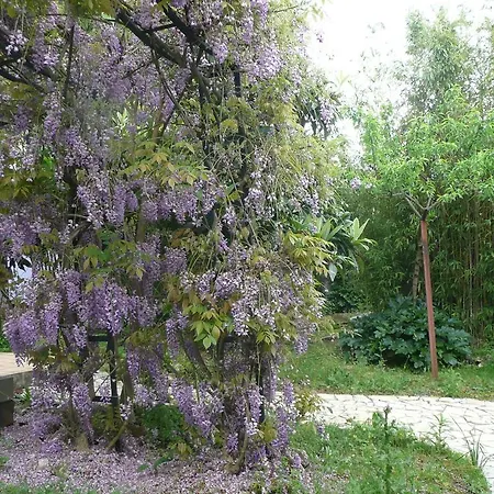 Κατάλυμα σε φάρμα Farm Casa Bela Esperanca 2 *